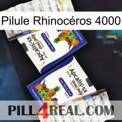 Pilule Rhinocéros 4000 12